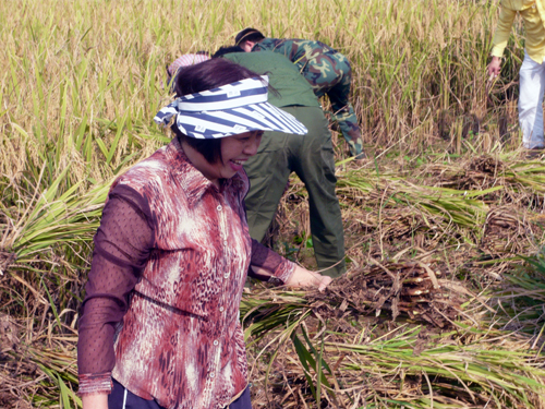 巾帼不让须眉，李总女中豪杰